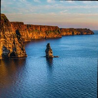 مازن العوفي