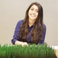 Shailee Dalal
