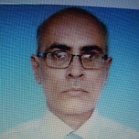 Saleem Kundi
