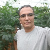 Morteza Kermani