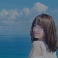 陈婉君