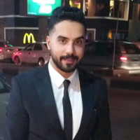 Ahmed Shehata