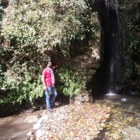 Manik Goel