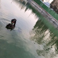 曹永红