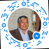 Looefeer Domingo Castro Cotera