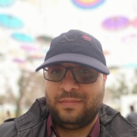 seyedmajid razavian