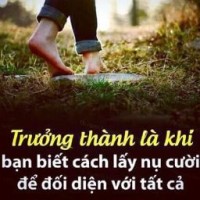 Tai Ly