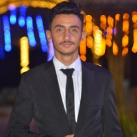 Mahmoud ElSayed Mohammed Hafiz