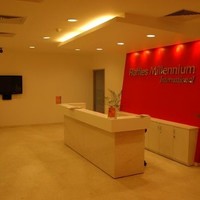 Raffles Millennium International