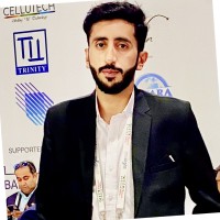 Malik Arif