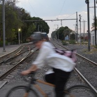 María del mar Covarrubias Castro