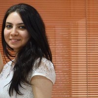 Yesim Erdan