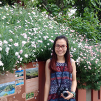 Van Ninh