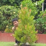Yoga Angga Nugraha