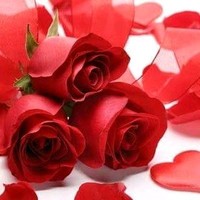 Govind Singh Videos