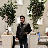 Satish Saini