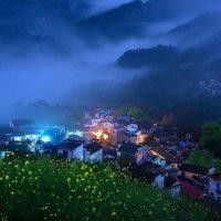 王晓芝