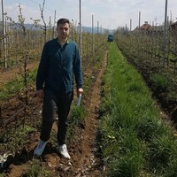 Andrei-Florentin Mincof