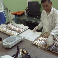 Michael E. Rodríguez C.