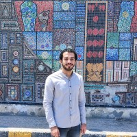 Mohamed Mostafa