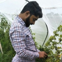Muzzamil Hussain