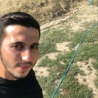 Ali Ay