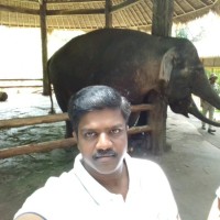 Muthuraj S