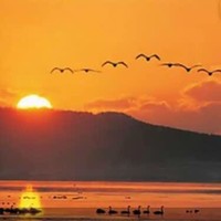 杜丽明