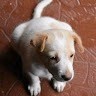 Sathish Kumar