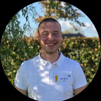 Thibaut NOËL - BTOBEES SAS