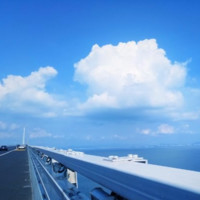 陈洪钰