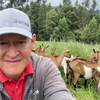 Juan S Dennis