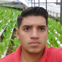 Engel Pineda Herrera