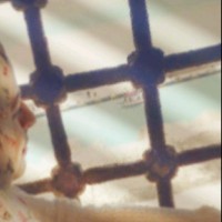 Rofayda Kamel