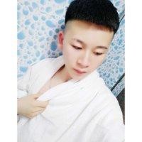段树伟