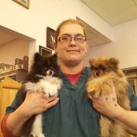 Crystal Maxham Trusted Hands Pet Grooming