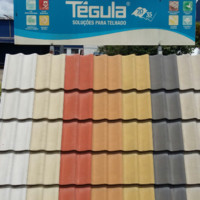 Carlos Alberto Silveira Geronimo