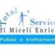 Enrico Miceli