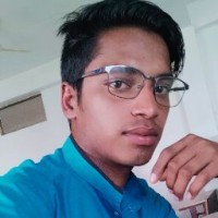 Nitesh Roy