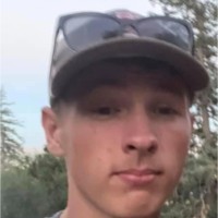 Brandon Dills