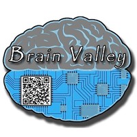 Brain Valley