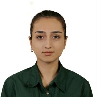 Negin Shirvani