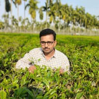 Sachin Gavande