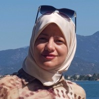 hanan salem
