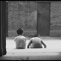 李子树