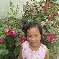 张玉勤