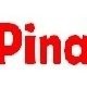 Pinakeen ICIS