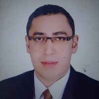 Alaa Mansour