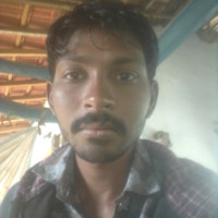 Paraliya Haresh