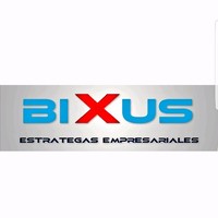 BiXus Estrategas Empresariales